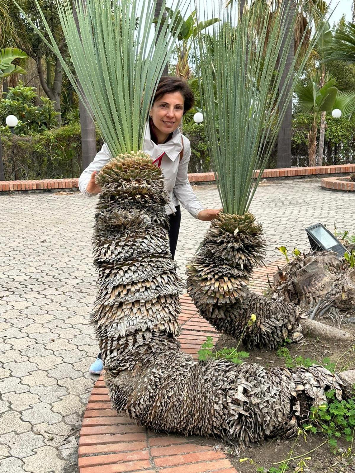 Adriana Casa Vacanze Mare Etna Sicilia أتشيريالي المظهر الخارجي الصورة